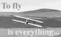 [To fly picture - to_fly2.gif]